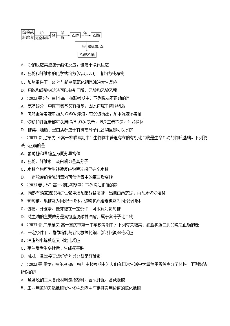 自测10 基本营养物质-【刷透假期】高一化学暑假作业自测+预习自学（人教版2019）02