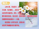 第二节 元素（同步课件）