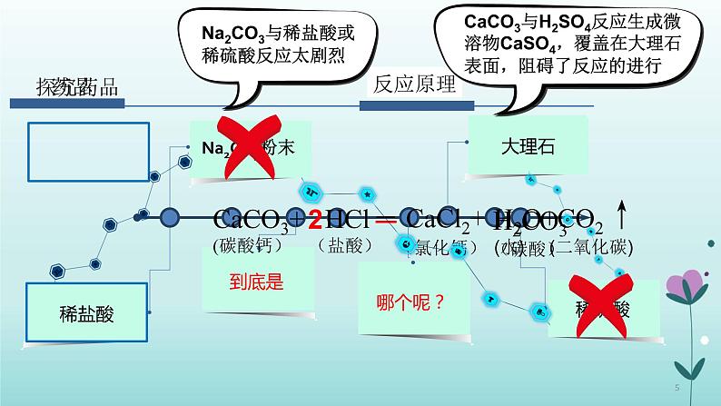 化学人教版九年级上册导学课件：6.2二氧化碳制取的研究第5页