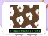 人教版（五四制）八年级全册化学  3.1 分子和原子 课件