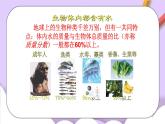 人教版（五四制）八年级全册化学  4.3 水的组成 课件