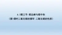 鲁教版(2024)九年级上册第三节 碳达峰与碳中和优质ppt课件