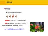 人教版（2024）九年级化学上册课件  2.2 氧气