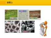 人教版（2024）九年级化学上册课件  3.1.1  物质由微观粒子构成