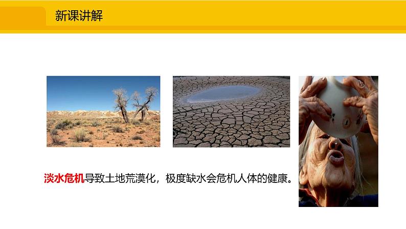 人教版（2024）九年级化学上册课件  4.1.1 保护水资源05