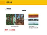 人教版（2024）九年级化学上册课件  7.2.1  化石能源的利用
