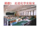 人教版九年级化学第一单元 课题3 走进化学实验室 第1课时 课件