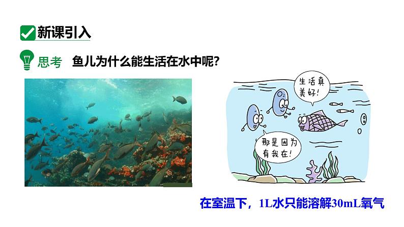 人教版九上化学第二单元课题2氧气课件第4页