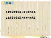 人教版(2024)化学九年级上册 6.3 二氧化碳的实验室制取 PPT课件