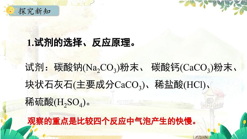 人教版(2024)化学九年级上册 6.3 二氧化碳的实验室制取 PPT课件05