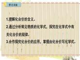 人教版(2024)化学九年级上册 4.3.2  化合价 PPT课件