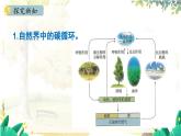 人教版(2024)化学九年级上册 6.2.2 二氧化碳对生活和环境的影响 一氧化碳 PPT课件