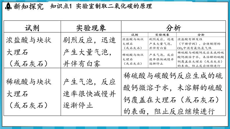 5.2 二氧化碳的实验室制法（课件）---2024-2025学年九年级化学沪教版（全国）(2024)上册05