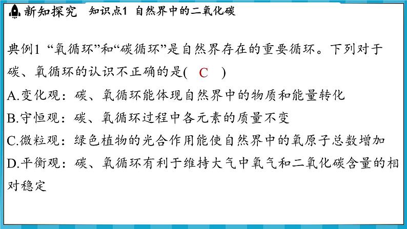 5.3 自然界中的碳循环（课件）---2024-2025学年九年级化学沪教版（全国）(2024)上册04