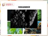 【2024秋季新教材】人教版化学九年级上册 1.1.1物质的变化 课件【内嵌视频】