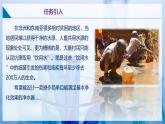 沪教版九上化学  跨学科实践活动2 自制净水器（课件+同步练习+素材）