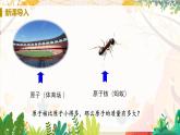 科粵版(2024)化學(xué)九年級(jí)上冊(cè) 第2章 2.3 辨別物質(zhì)的組成(構(gòu)成物質(zhì)的微粒（II）——原子和離子) PPT課件+教案+習(xí)題