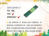 科粤版(2024)化学九年级上册 第5章 5.2  组成燃料的主要元素——碳（课时1） PPT课件+教案+习题