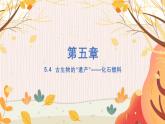科粵版(2024)化學(xué)九年級(jí)上冊(cè) 第5章 5.4  古生物的“遺產(chǎn)”——化石燃料 PPT課件+教案+習(xí)題