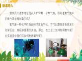 人教版(2024)化学九年级上册 第2章 课题3  制取氧气 PPT课件+教案+习题
