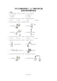 [化学]2024北京重点校初三上学期期末化学真题分类汇编：走进化学世界章节综合