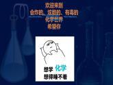 化学使世界变得更加绚丽多彩课件