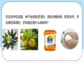 沪教版化学九年级下册 5.1 生活中的酸和碱  课件+素材