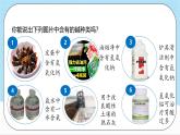 沪教版化学九年级下册 5.1 生活中的酸和碱  课件+素材