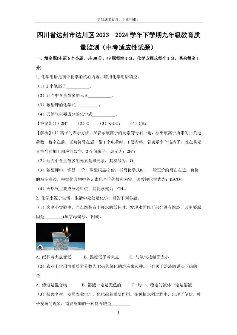 [化学]四川省达州市达川区2023—2024学年下学期九年级教育质量监测(中考适应性试题)(解析版)01