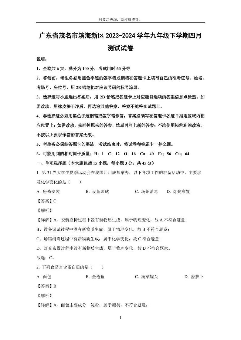 [化学]广东省茂名市滨海新区2023-2024学年九年级下学期四月测试试卷(解析版)01