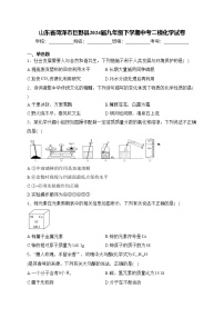 山东省菏泽市巨野县2024届九年级下学期中考二模化学试卷(含答案)