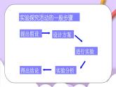 人教版（五四制）化学八年级全册 5.1 质量守恒定律 课件