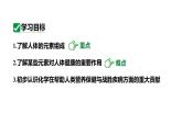 人教版九下化学第十二单元课题2化学元素与人体健康课件