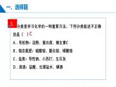 综合复习与测试 2023-2024学年九年级化学下册同步课堂（鲁教版） 课件