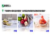 人教版九下化学第十单元课时2溶液酸碱度的表示法——pH课件