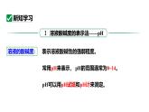 人教版九下化学第十单元课时2溶液酸碱度的表示法——pH课件