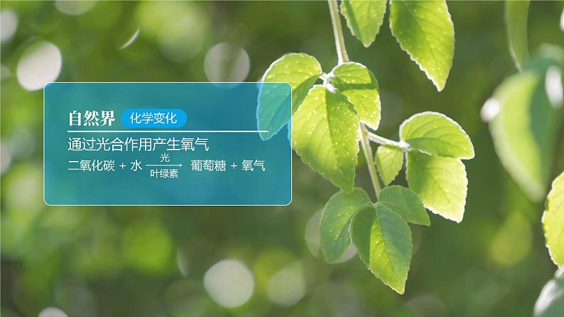 沪教版化学八年级上册3.3 氧气和二氧化碳的制备（课件、习题、学案）03