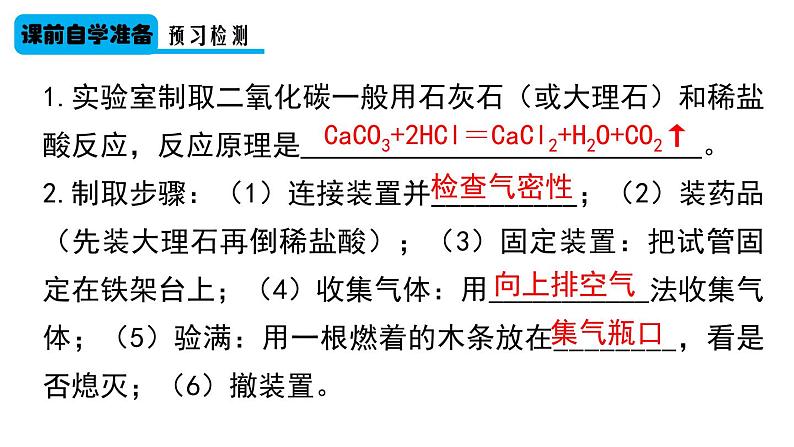 （2024秋季新教材）人教版化学九年级上册6.3.实验活动3 二氧化碳的实验室制取与性质课件+素材03