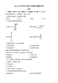 广东省清远市连山县2024-2025学年九年级上学期开学摸底考试化学试卷（原卷版）