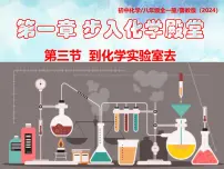 初中化学鲁教版（五四学制）（2024）八年级全册（2024）第三节 到化学实验室去教课内容课件ppt