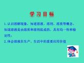 2024-2025 鲁教版化学九年级上册 3.3 物质在水中的溶解 课件