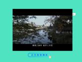 2024-2025 鲁教版化学九年级上册 4.1 空气的组成 课件