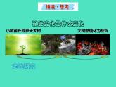2024-2025 鲁教版化学九年级上册 5.1 化学反应中的质量守恒 课件 课件