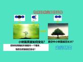 2024-2025 鲁教版化学九年级上册 5.1 化学反应中的质量守恒 课件 课件