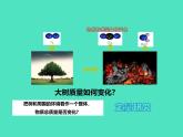 2024-2025 鲁教版化学九年级上册 5.1 化学反应中的质量守恒 课件 课件