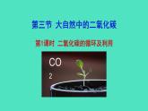 2024-2025 鲁教版化学九年级上册 6.3 碳达峰与碳中和 课件
