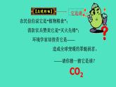 2024-2025 鲁教版化学九年级上册 6.3 碳达峰与碳中和 课件