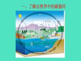 2024-2025 鲁教版化学九年级上册 6.3 碳达峰与碳中和 课件
