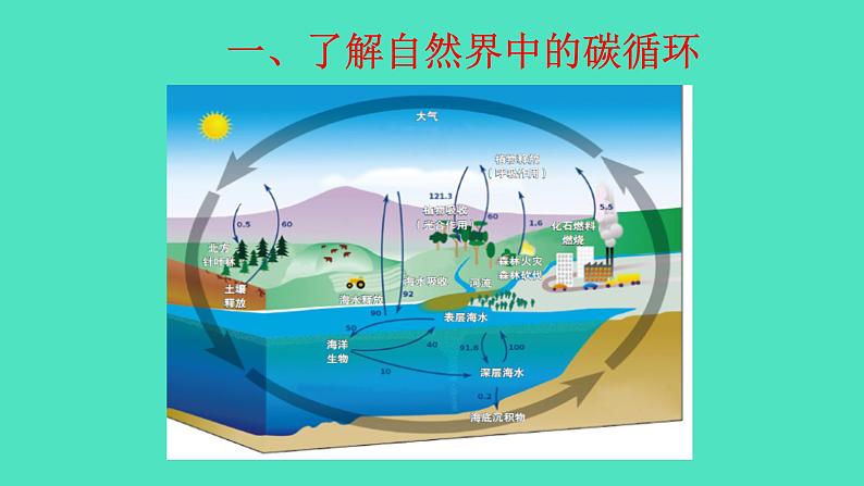 2024-2025 鲁教版化学九年级上册 6.3 碳达峰与碳中和 课件05