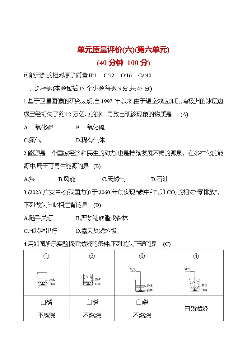 单元质量评价(六)(第六单元) 试卷 (教师版)---2024--2025学年九年级化学鲁教版（2024）上册第1页